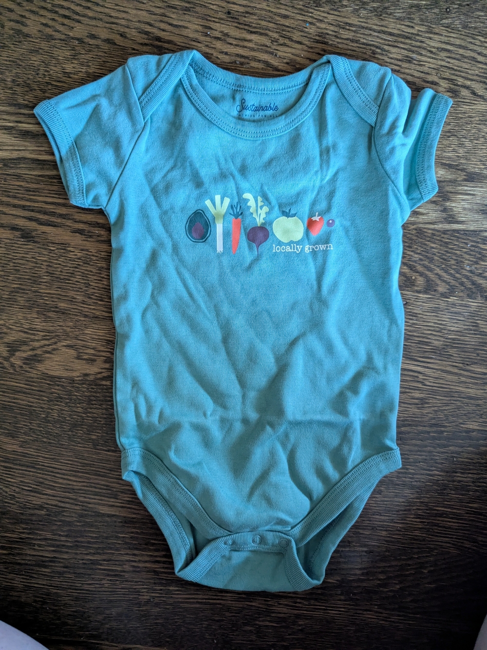 NWT PACT Local Veggies Organic Cotton Onesie Bodysuit 9–12M